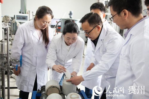 延伸教育链，服务产业链 教育咨询服务的战略价值与实践路径