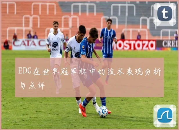 EDG在世界冠军杯中的技术表现分析与点评