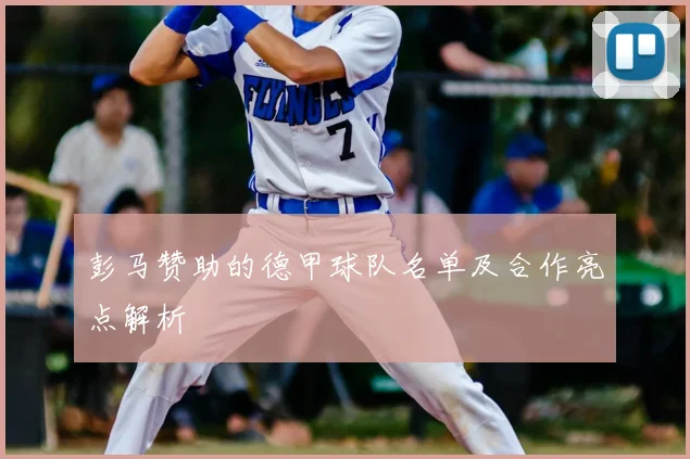 彭马赞助的德甲球队名单及合作亮点解析