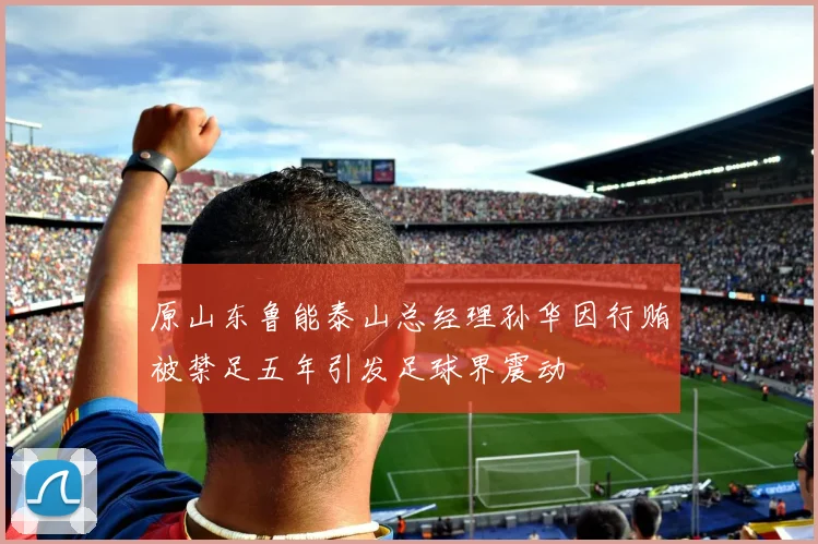 原山东鲁能泰山总经理孙华因行贿被禁足五年引发足球界震动