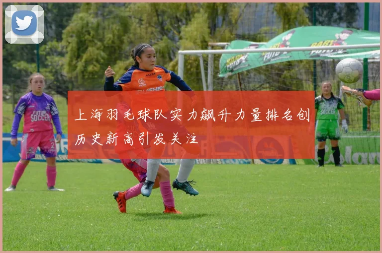 上海羽毛球队实力飙升力量排名创历史新高引发关注