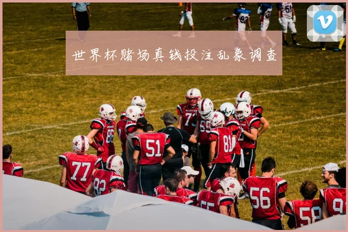 世界杯赌场真钱投注乱象调查