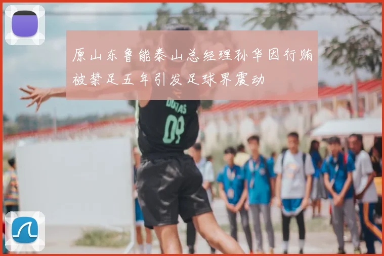 原山东鲁能泰山总经理孙华因行贿被禁足五年引发足球界震动