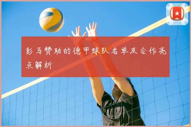 彭马赞助的德甲球队名单及合作亮点解析