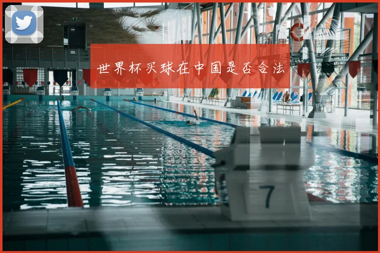 世界杯买球在中国是否合法