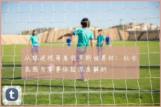 从球迷视角看俄罗斯世界杯:社会氛围与赛事体验深度解析