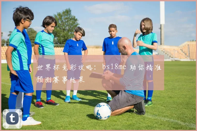 世界杯竞彩攻略:bs18me 助你精准预测赛事结果