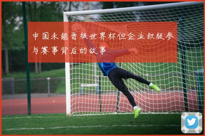 中国未能晋级世界杯但企业积极参与赛事背后的故事