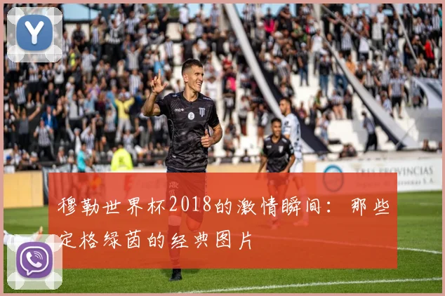 穆勒世界杯2018的激情瞬间：那些定格绿茵的经典图片